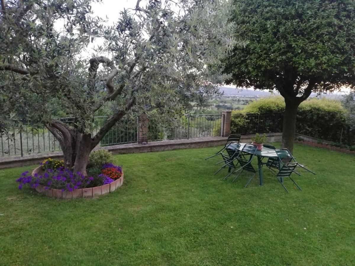Bed and Breakfast La Casa Tra Gli Ulivi Ассизи Экстерьер фото