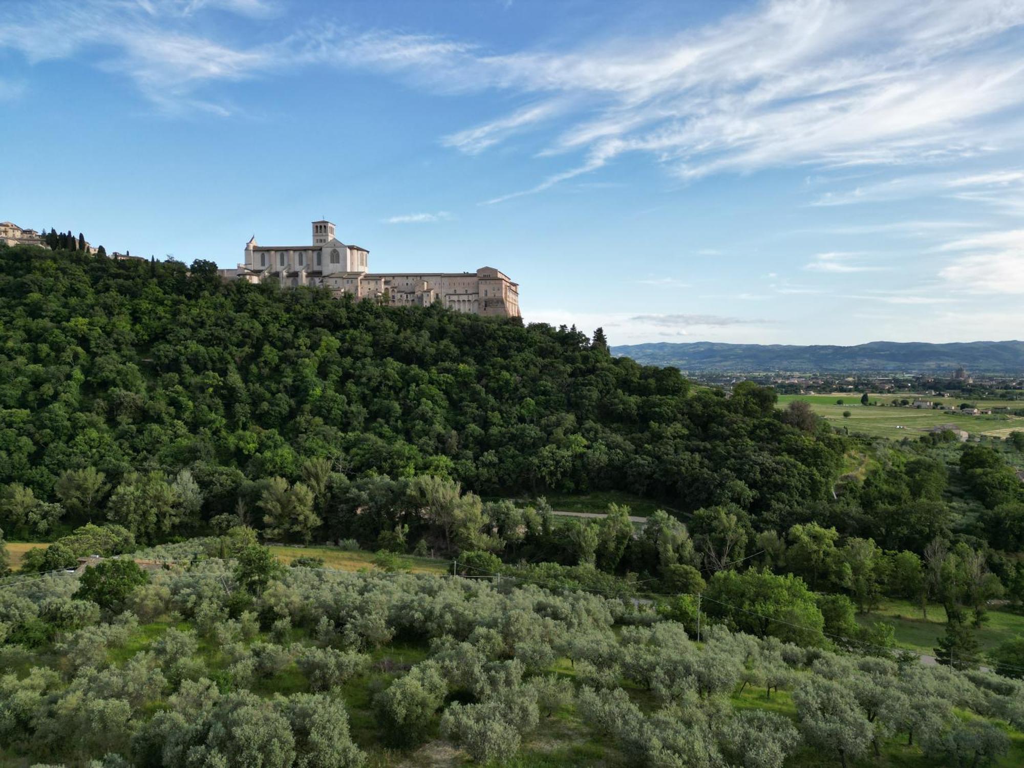 Bed and Breakfast La Casa Tra Gli Ulivi Ассизи Экстерьер фото