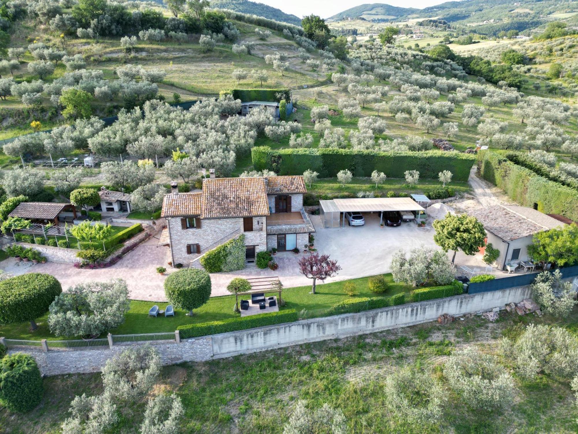 Bed and Breakfast La Casa Tra Gli Ulivi Ассизи Экстерьер фото